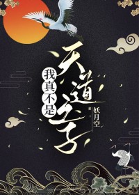 我真不是天才张易大结局